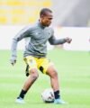 Jay tee Kamara joins Portland Hearts of Pine in the US
